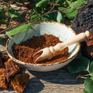 Liberty mushrooms Chaga mushrooms
